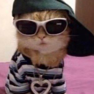 Meet your Posher, Bryant